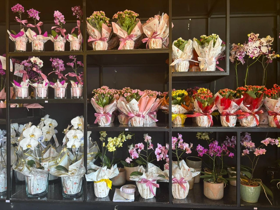 Shopping Natureza