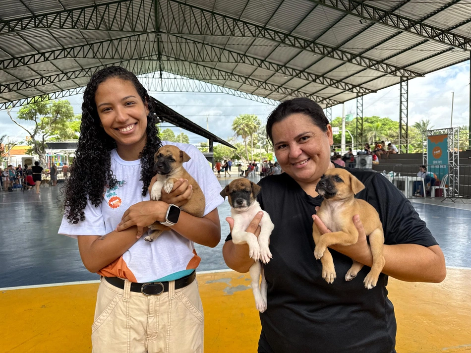 Semarh lança edital para acolhimento de animais vítimas de maus-tratos no Piauí