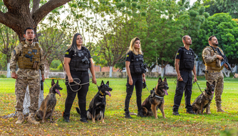 Curso nacional de buscas a desaparecidos com cães farejadores acontecerá em Teresina