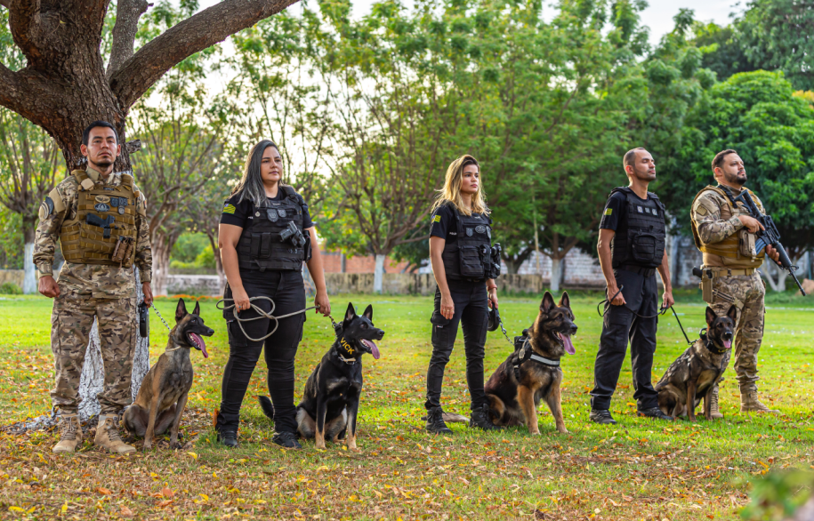 Curso nacional de buscas a desaparecidos com cães farejadores acontecerá em Teresina