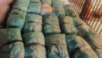 PRF apreende 320 kg de maconha após acidente de trânsito na BR-020 em Monsenhor Hipólito