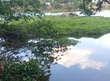 Corpo é encontrado boiando no Rio Poti na zona Norte de Teresina