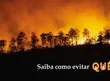Pacto Piauí Sem Queimadas Pacto Piauí Sem Queimadas