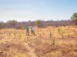 Semarh alerta para calor extremos e redução de chuvas com El Niño no Piauí Semarh alerta para calor extremos e redução de chuvas com El Niño no Piauí
