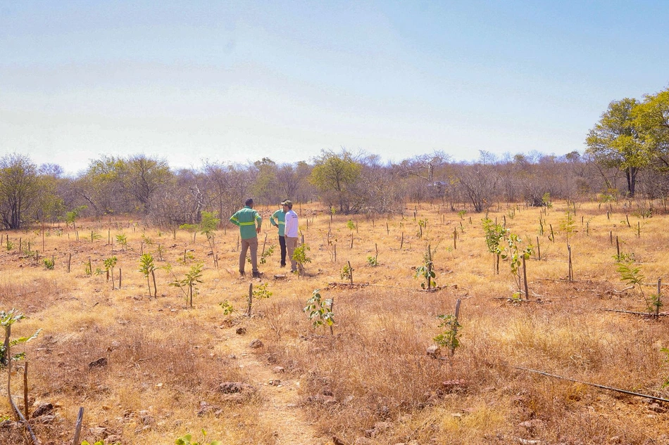 Semarh alerta para calor extremos e redução de chuvas com El Niño no Piauí