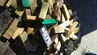 Mulher é presa com 100kg de maconha na rodoviária de Teresina
